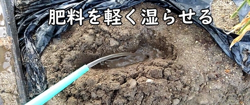 肥料に水をかけ、湿らせる