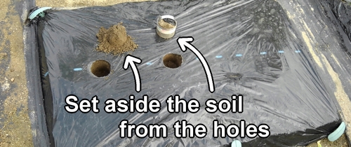 Set aside the soil from the holes