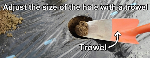 Adjust the size of the hole with a trowel