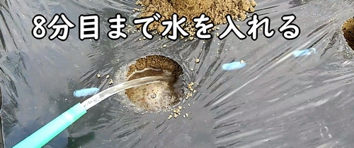 水を8分目まで入れる