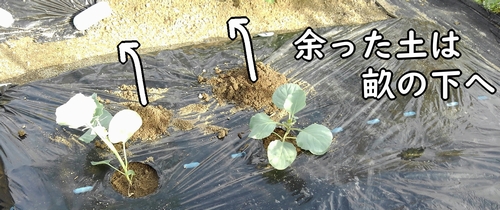 余った土は畝の下へ落とす