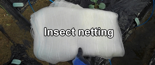 Insect netting