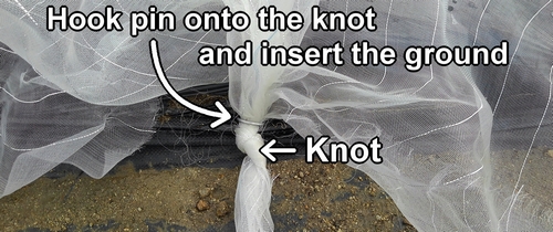 Hook pin onto the knot and insert the ground