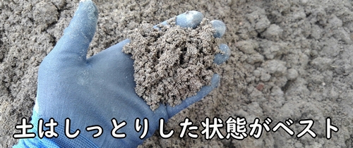 のらぼう菜の植え付けに適した土