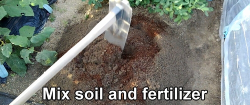 Mix soil and fertilizer