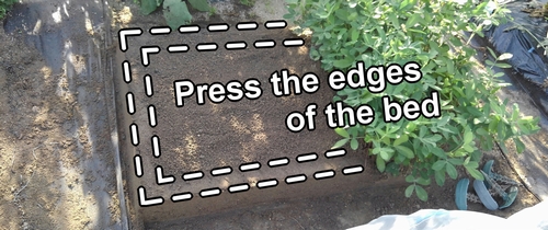 Press the edges of the daikon radish bed