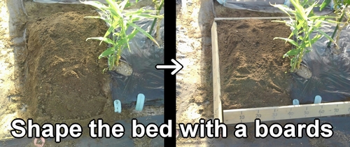 Shape the strawberry bed with a boards