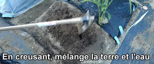 En creusant, mélange la terre et l'eau