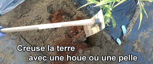 Creuse la terre avec une houe ou une pelle