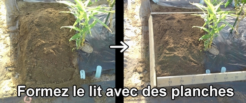Formez la butte de fraises (fraisier) avec des planches