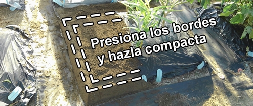 Cómo hacer una cama de fresas (frutilla)
