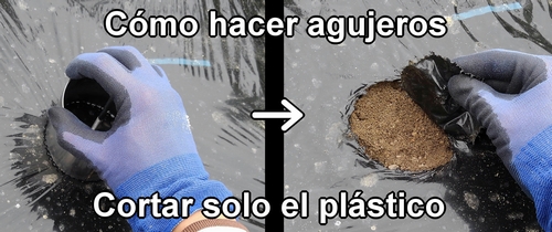 Cortar el acolchado de plástico