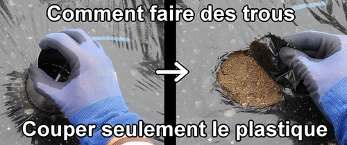 Couper le paillis en plastique