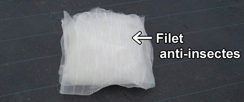 Filet anti-insectes