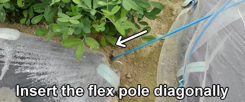 Insert the flexible stakes into the ground