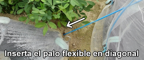 Inserta las estacas flexibles en la tierra