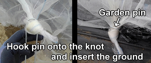 Secure the insect netting with U-shaped garden pin