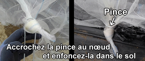 Fixez le filet anti-insectes avec une épingle de jardin en forme de U