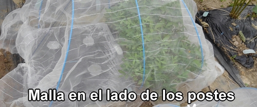 La malla para insectos en el lado de los palos flexibles