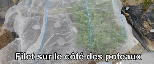 La moustiquaire sur le côté des arceaux souples