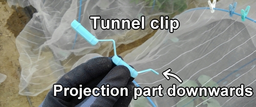 Tunnel clip