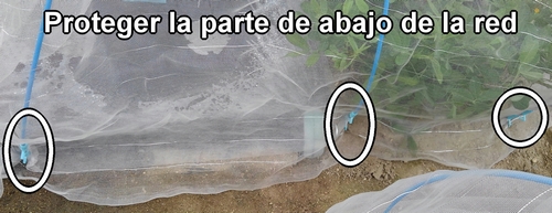 Previene la invasión de plagas desde debajo de la malla contra insectos