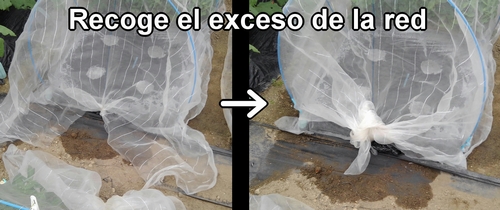 Recoge el exceso de la red contra insectos