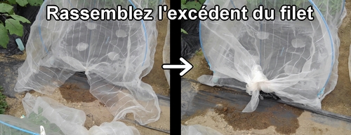 Rassemblez l'excédent du filet anti-insectes