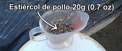 El estiércol de pollo usado para fertilizar el repollo (col repollo) y el brócoli rapini (brocolini)