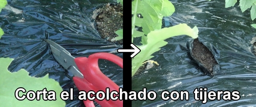 Corta el acolchado con tijeras