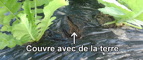 Couvre avec de la terre