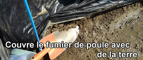 Couvre le fumier de poule avec de la terre