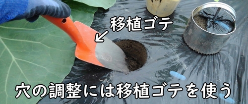 穴の調整には移植ゴテを使う