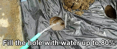 Fill the hole with water up to 80%