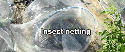 Insect netting