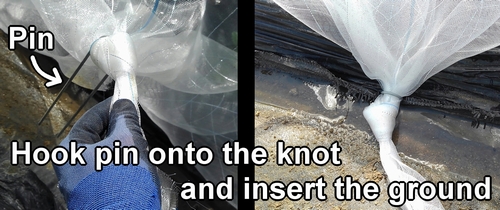 Hook pin onto the knot and insert it into the ground