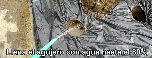 Llena el agujero con agua hasta el 80%