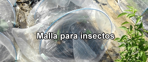 Malla para insectos