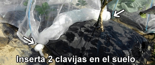 Clava las estacas de jardín en el suelo para sujetar la malla para insectos