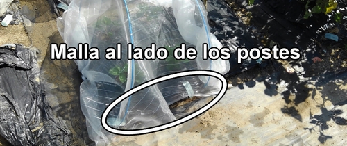 La malla contra insectos en el lado de los arcos flexibles