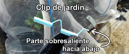 Clip de jardín