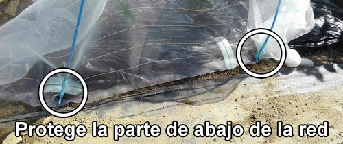 Evita que los insectos entren por debajo de la malla para insectos