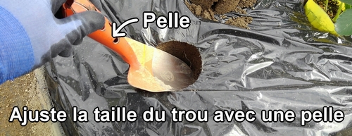 Ajuste la taille du trou avec une pelle