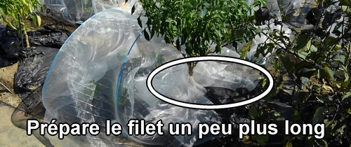 Fais deux nœuds dans le filet