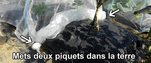 Mets les piquets dans la terre pour tenir le filet