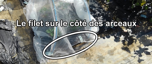 La moustiquaire sur le côté des arceaux