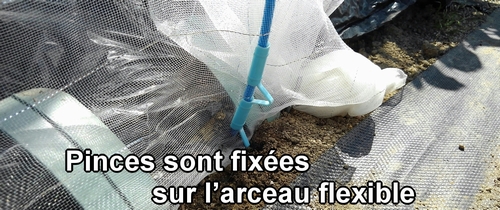 Les pinces de jardin sont fixées sur l’arceau flexible