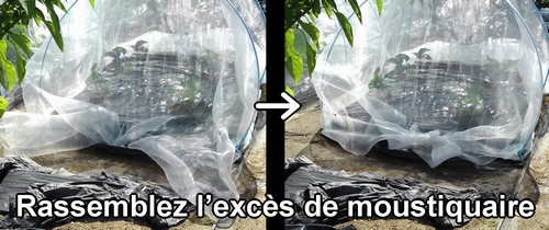 Rassemblez l’excès de moustiquaire