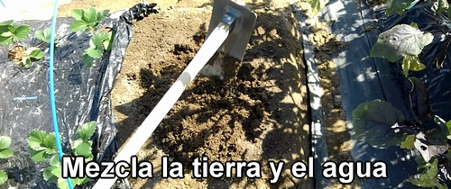 Mezcla la tierra y el agua