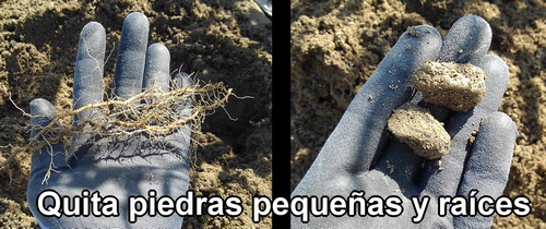 Quita piedras pequeñas y raíces